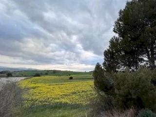 Terreny residencial  Carrer del mar. Baix empordà, les olives, terreno urbano.