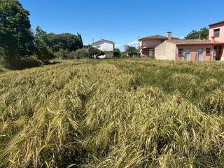 Terreno residenziale  Carrer pompeu fabra. .gironès, flaçà, terreno urbano