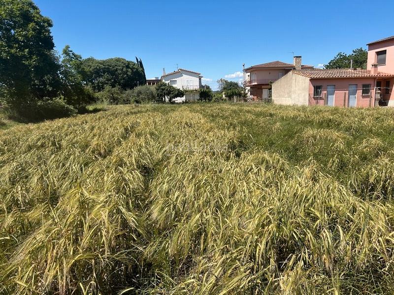 Foto 297def68-03fa-4aae-943d-d2ba962609d2. Wohngrundstück in Flaçà