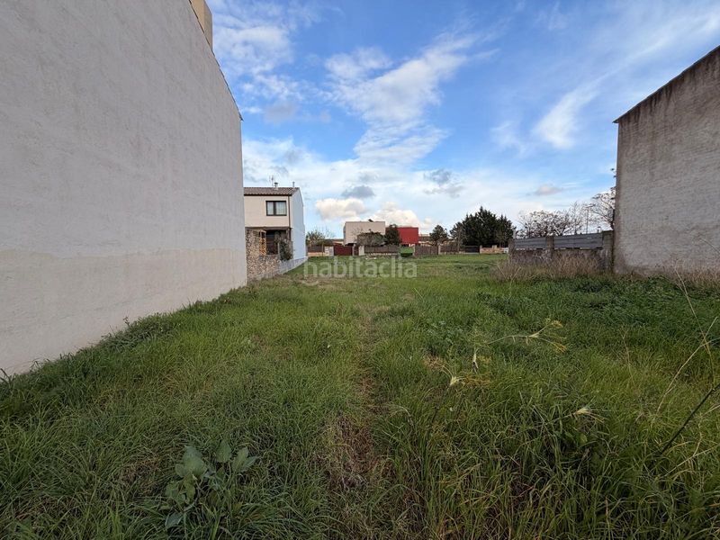 Foto 1eb7d784-6ff7-46c8-bbed-104179c9e7ea. Terreny residencial a Ullastret