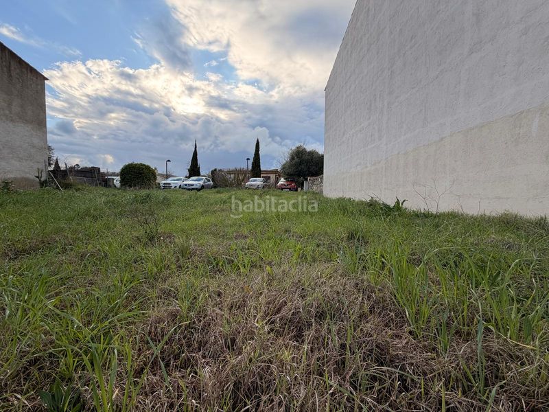 Foto 5cd5158e-51b0-426a-8618-5e5f605ffc9b. Terreny residencial a Ullastret