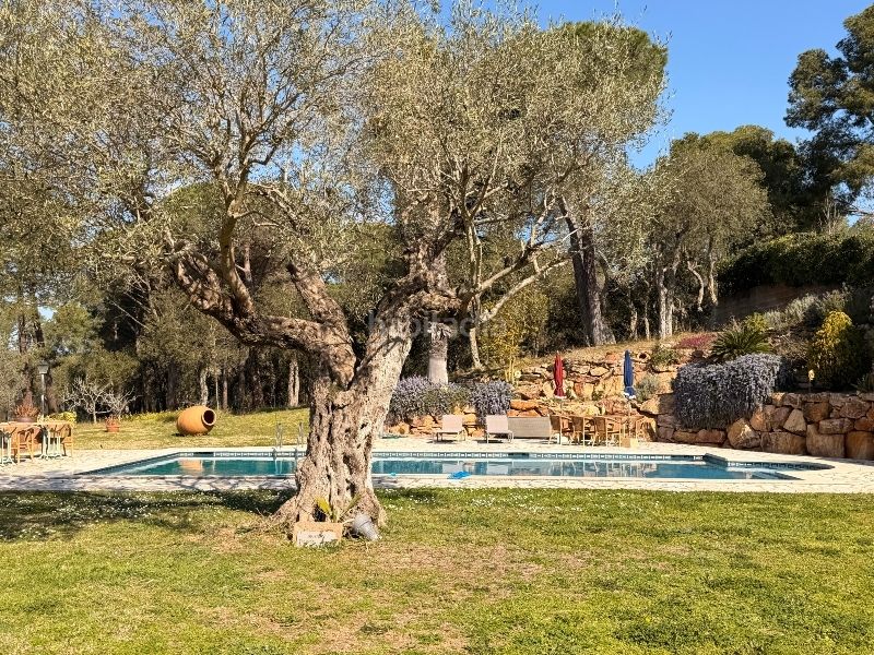 Foto 84e8a5c9-9f47-4431-a87a-1bf7172f7f2a. Casa amb xemeneia calefacció aparcament piscina a Calella de Palafrugell