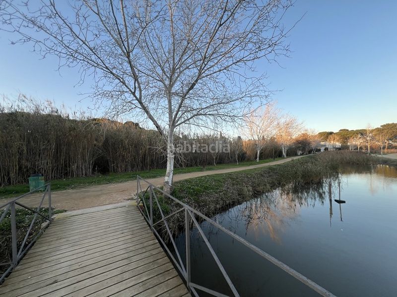 Foto aad6a0e1-cbcb-4cd6-aec5-0f77e44b9832. Terreny residencial a Empúries Escala (L´)