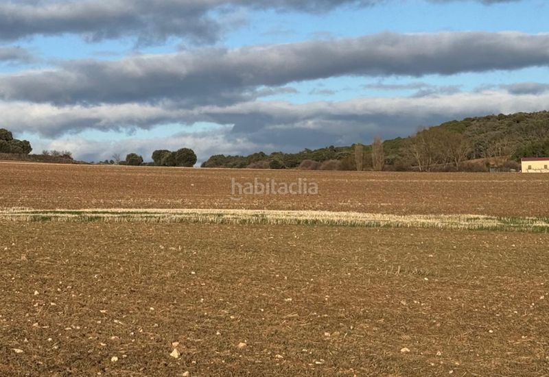 Foto 82ef131f-be7d-4277-8abb-a78473798d94. Solar industrial a Caballar
