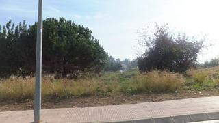 Wohngrundstück in Teià