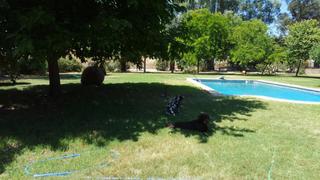 Mas dans Calle licenciado carrion 1. Finca de recreo totalmente equipada,  leer descripcin. 50.000m2