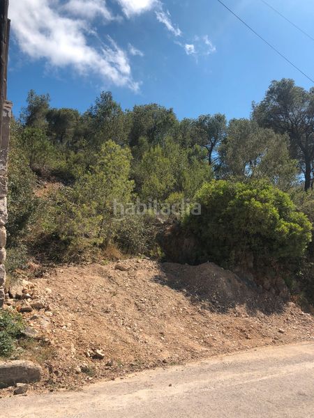 Foto 3aff559c-1ab1-4b2c-99e1-e7d8543f641c. Terreny residencial a Canyelles