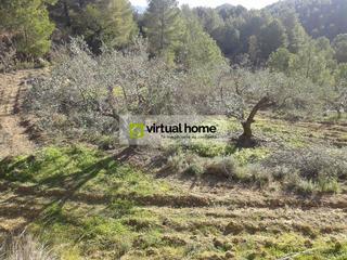 Finca rstica en Polop. Terreno en venta, polop.