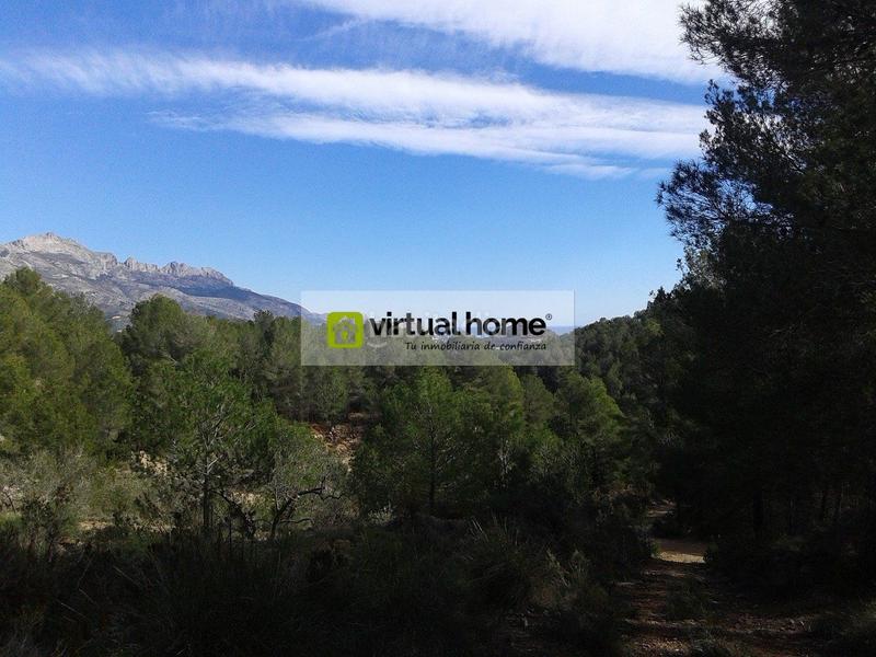 Foto 31469651-3243-47ee-ae41-1ff171b2e592. Fondo rustico in Polop