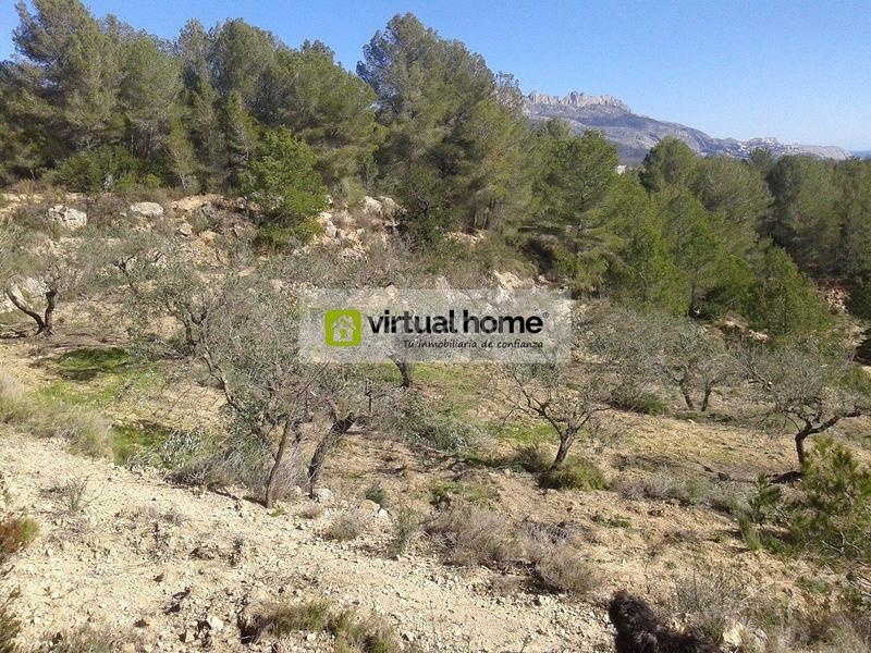 Foto 85f3ea7d-634d-45ad-a890-b9c15eabeec9. Fondo rustico in Polop