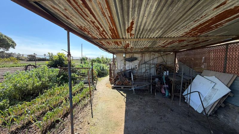 Foto 2287b3a7-5614-42db-a260-4a892e902fe7. Finca rústica a Gava Mar Gavà