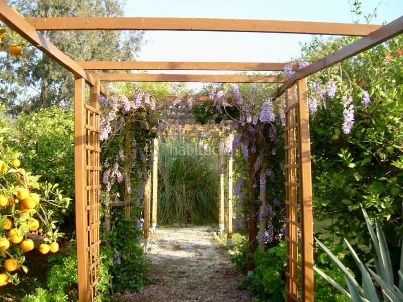 Foto 71b8fe27-b911-43c6-b672-0216c22a7e67. Maison avec piscine dans Cártama