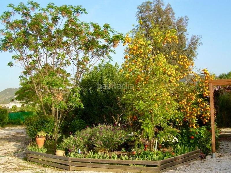 Foto ab5ff5c9-2a43-4d59-a44a-c49c337c9ebf. Maison avec piscine dans Cártama