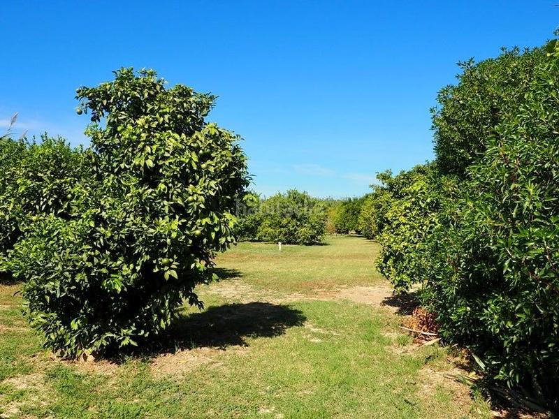 Foto d02d0ed7-75d6-4844-a897-16e338a83930. Maison avec piscine dans Cártama