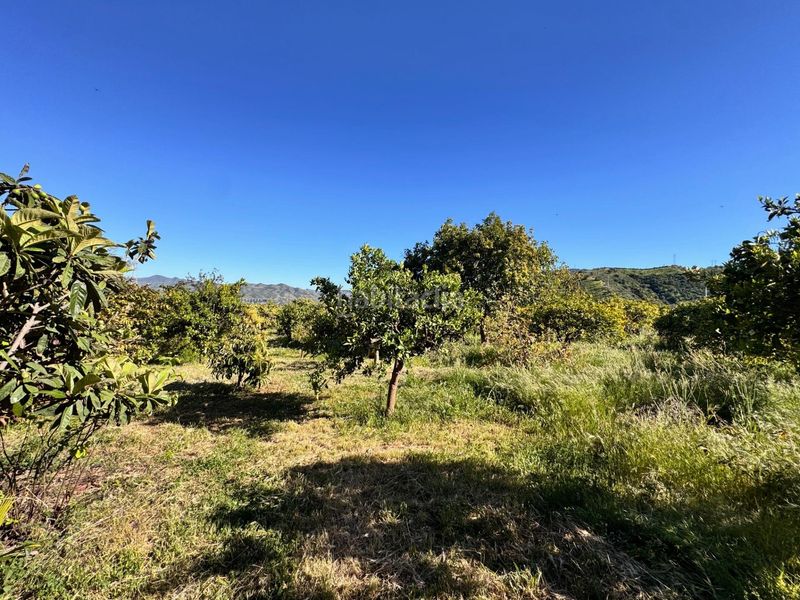 Foto e6d5f1a4-40d1-46e9-85fc-6697cedf2aa8. Casa amb calefacció aparcament piscina a Álora