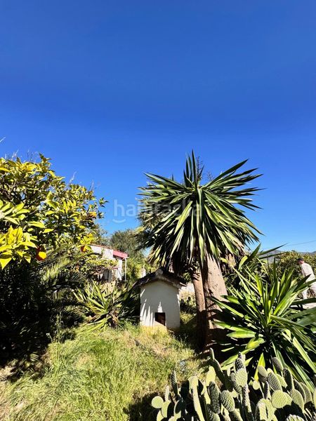 Foto fba0d235-9a68-49be-bb74-840853a6802f. Casa amb calefacció aparcament piscina a Álora