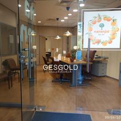 Business premise in Centro