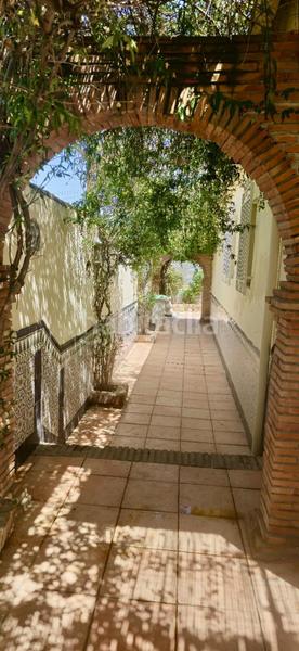 Foto ddadb1ee-70da-45d7-9a5c-47886ba2370c. Chalet  independiente en venta en urbanización arenal parcela urbana de 1.000 m, todo en una planta, piscina y garaje en Alhendín