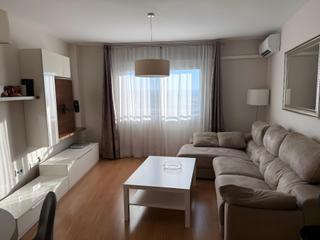 Location Appartement  Calle pintor fernando belda. Piso en alquiler en la rosaleda  c pintor fernando belda, granad