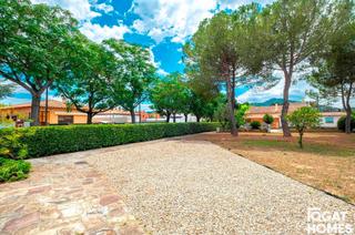 Finca rústica  Tanger. Parcela plana en venta en mirasol