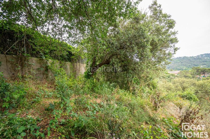 Foto 06fa1e1f-3d03-4554-9127-03b2d0a646bc. Terreny residencial a Vallvidrera - Tibidabo - Les Planes Barcelona