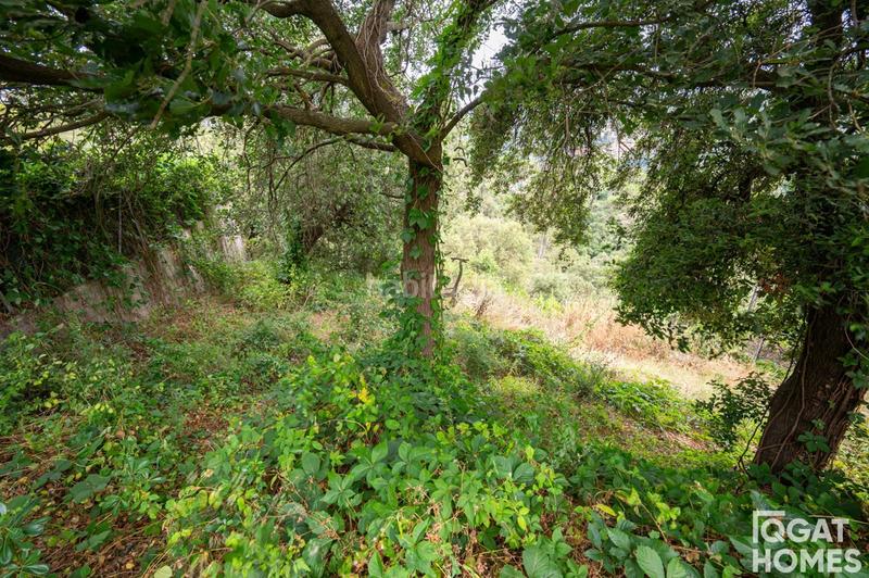 Foto 2541ed82-a70d-46b0-b820-f04824db4cee. Terreny residencial a Vallvidrera - Tibidabo - Les Planes Barcelona