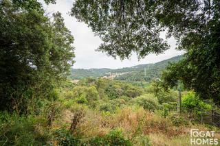 Terreny residencial  Dels bohemis. Terreno con alta proyección en vallvidrera
