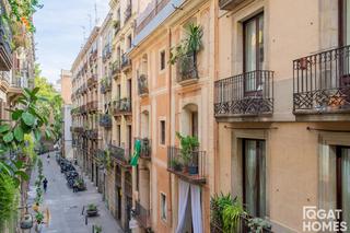 Pis  Pere mes alt. Amplio piso junto al palau de la msica, con gran potencial de r