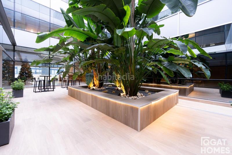 Foto 63cb6c15-1155-4bdd-ad0f-2cd9f97aade2. Bureau avec chauffage parking dans Roquetes-Can Magí Sant Cugat del Vallès