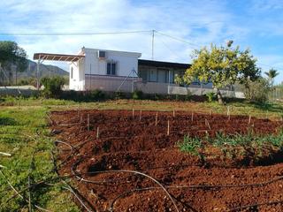 Fondo rustico in Valtocado - La Alquería - La Atalaya. Se vende finca de 11.800m² con casa de campo construida de 83m²