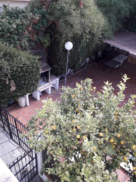 Foto 9fa481f2-ae5a-4715-a646-f19d1b9662c4. Rent flat in Barrio de Ciudad Jardín Málaga