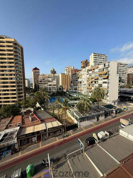 Foto 77e98c21-5f4c-4532-98b4-57ac479a3fd7. Lloguer pis a c. de londres 4 a Rincón Alto Benidorm