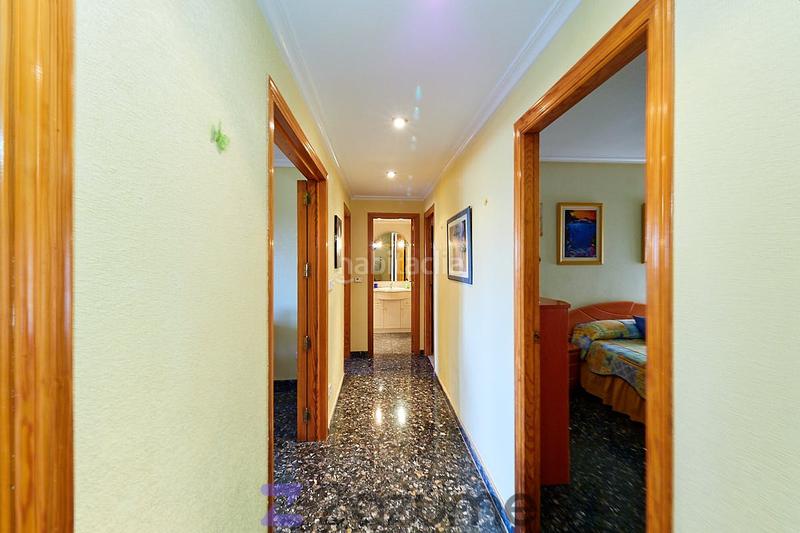 Foto 4910bc1a-bdea-42ed-a588-c6d7d44dd88f. Location appartement dans Camí dels Magros - Casablanca Elche / Elx