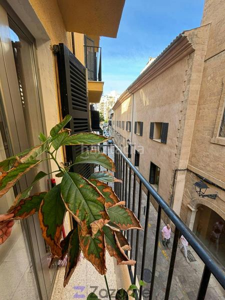 Foto 039f7ef7-4e85-487d-86b9-62c7b93242a7. Rent flat with heating in Jaume III Palma de Mallorca