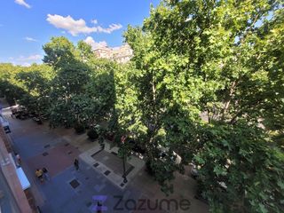 Affitto Appartamento  P.º de zorrilla