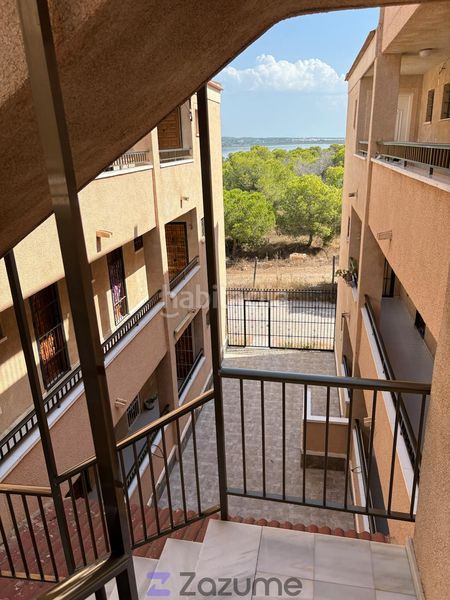 Foto 09de180f-f4e4-4599-9b37-a7b949966fcb. Alquiler estudio en Zona Carrefour - Urbanizaciones Torrevieja