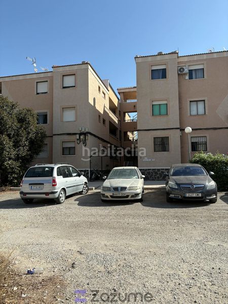 Foto c56a67c3-da7f-4de1-87f0-88b199ab8803. Alquiler estudio en Zona Carrefour - Urbanizaciones Torrevieja