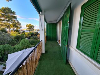 Rent Flat in Son Verí