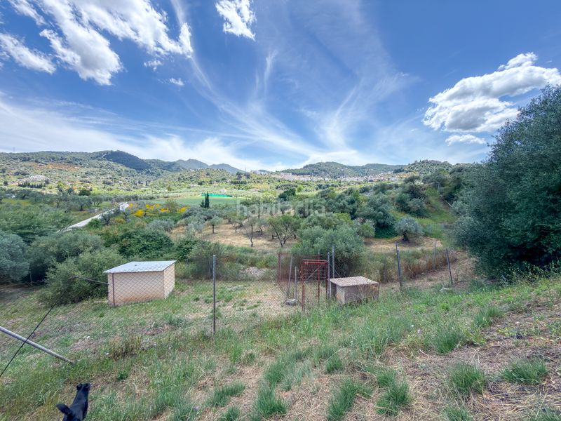 Foto 56e58b87-2ca6-43d9-a65a-64a535929045. Casa a Monda