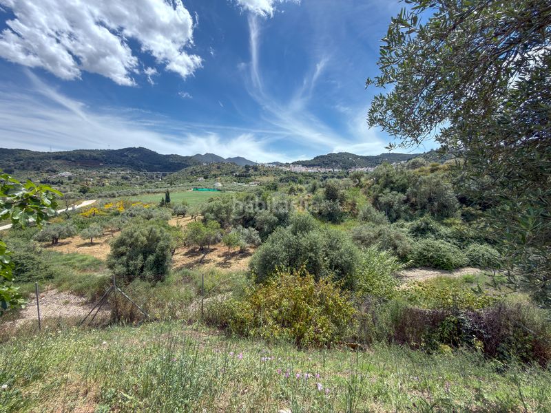 Foto d7f66729-56da-4431-9896-a43ca6c5178a. Casa a Monda