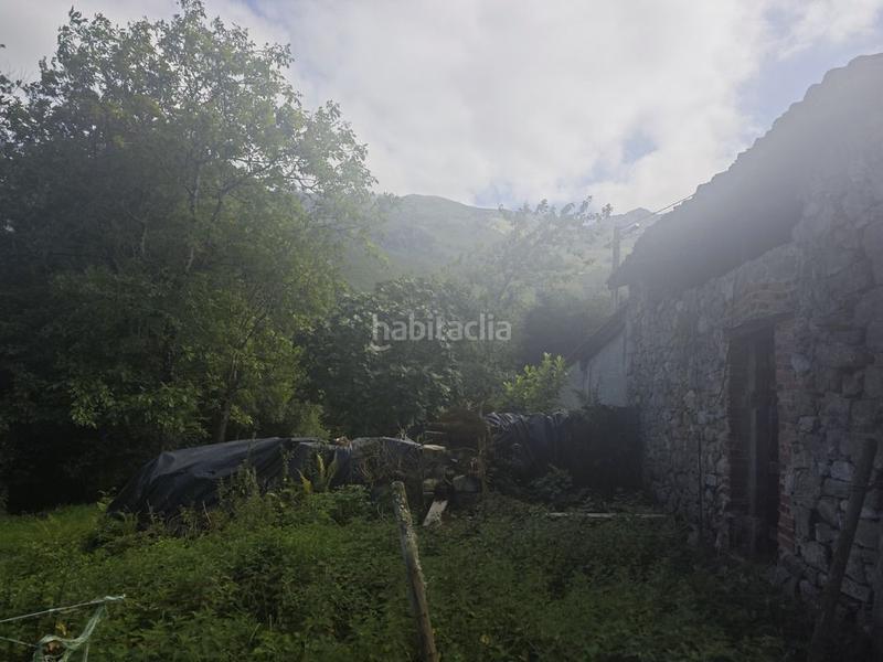 Foto 79ba3384-49b3-4970-9048-e9b1ea9623c1. Casa te gusta sentir la naturaleza? en Cué-San Roque-Andrín Llanes