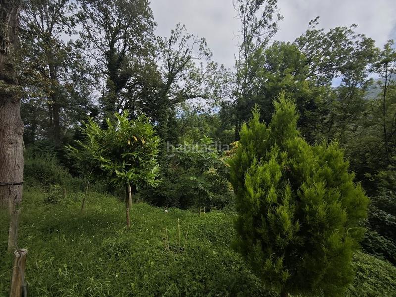 Foto 843fb73f-8b5a-4a1e-925b-e082936a51d5. Casa te gusta sentir la naturaleza? en Cué-San Roque-Andrín Llanes