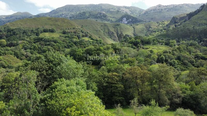 Foto b434d2d3-6b56-4fa6-bf4a-d687562200c6. Casa te gusta sentir la naturaleza? en Cué-San Roque-Andrín Llanes