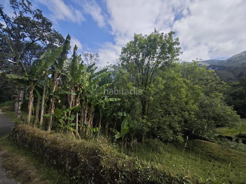 Foto c3536747-4b99-46fd-aa96-9924cfb06a1e. Casa te gusta sentir la naturaleza? en Cué-San Roque-Andrín Llanes