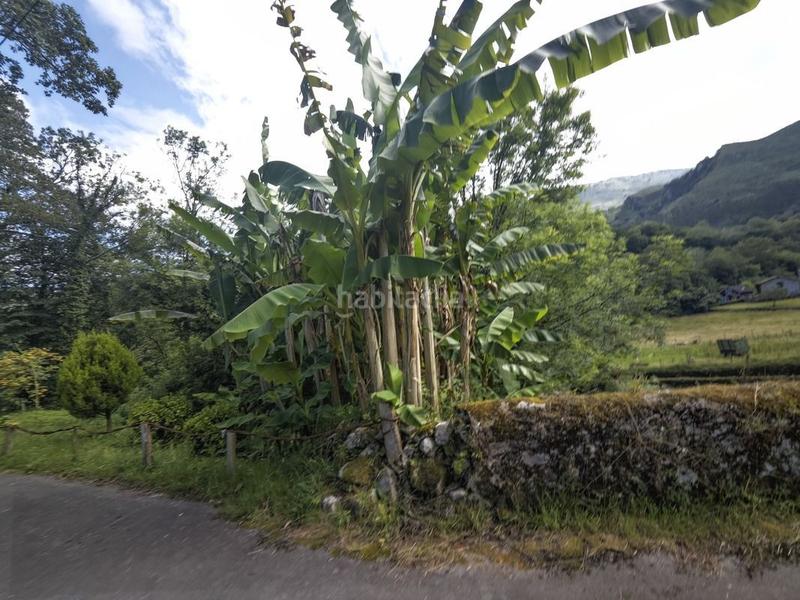 Foto de423e74-359b-43db-aebe-e78aadfca94e. Casa te gusta sentir la naturaleza? en Cué-San Roque-Andrín Llanes