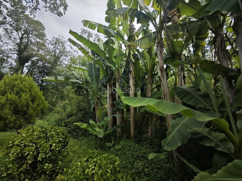 Foto f6594703-24b3-4113-a14e-cea728de6114. Casa te gusta sentir la naturaleza? en Cué-San Roque-Andrín Llanes