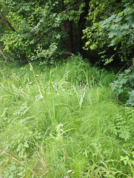 Foto c31c1586-1231-4a80-8147-40f542cce6a0. Casa in Vibaña-Ardisana-Caldueño Llanes