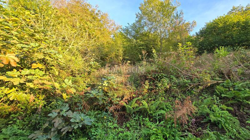 Foto 205b0800-5c37-4429-8a15-3b42527c6f0e. Casa con riscaldamento in Vibaña-Ardisana-Caldueño Llanes