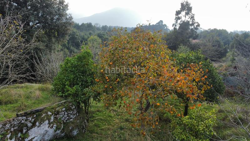 Foto 389a9324-6512-4152-8f58-b768b5a07667. Residential plot in Celorio-Poó-Parres Llanes