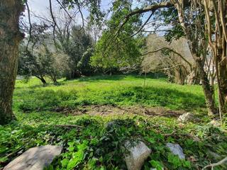 Terreny residencial a Pría-Nueva-Hontoria-Naves. Parcela en la zona de pría